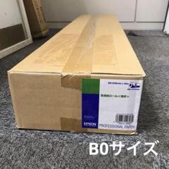 EPSON 普通紙ロール 薄手 1030mm×50m 2本 B0 EPPP64