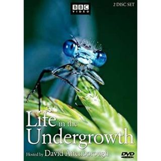 Life in the Undergrowth [DVD] [Import]